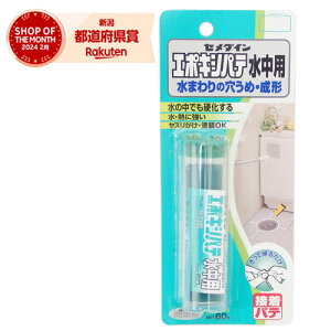 【在庫限り】セメダイン エポキシパテ 水中用 HC-119 P60g