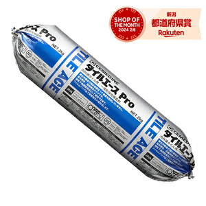 セメダイン タイルエースPro RE-452 2kg