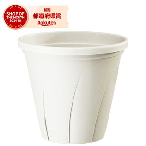 }g ͂蔫 4 0.4L zCgyiz