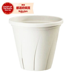}g ͂蔫 10 9.6L zCg