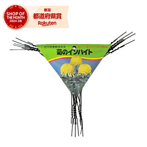 nӑ ẽCoCh 9SEE 5yiz