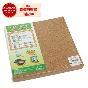 RNV[gp300x300x4mm 300x300x4mm8P