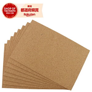RNV[gp450x300x4mm 450x300x4mm8P