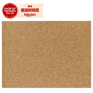 RNV[g 600x450x4mm