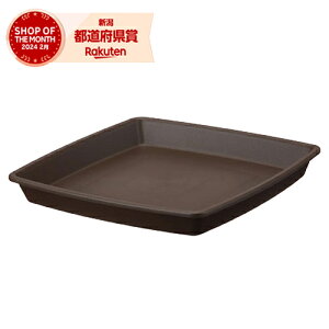 AbvEFA[ NtgXNGAv[g 30K^ DuE