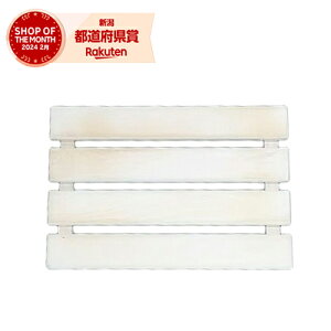 JUMBO ~ĵ SS zCg N270x185x25yiz