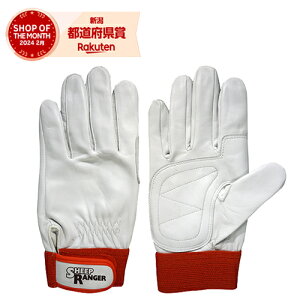 FGC V[vCW[tS RM-702 qcWJAecL}WbN S