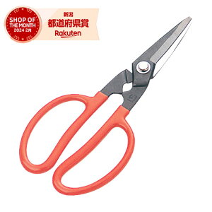 m2܂ł䂤pPΉnhEJ t[ 0303 DK-80