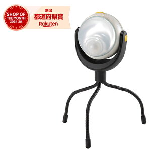 CebNX LEDǂłZT[Cg ASL-090