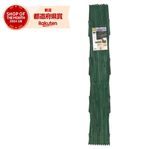 ^JV[ ؐLkgX 100X200cmO[