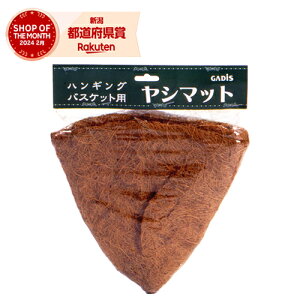 ^JV[ V}bg nMOoXPbgp 35cm CH35Hyiz