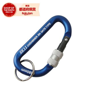 �m10�܂ł䂤�p�P�Ή��n�����Y�� SK11 ���b�N�J���r�i BN SAC-880BN�u���[