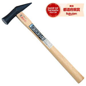 m2܂ł䂤pPΉnY E-Value ؋ 21MM