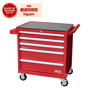 y@lOK lOKzY SK11 [[Lrlbg SRC-005RE bh(ԐF) 5imoCN  m H LX^[t H{bNXn