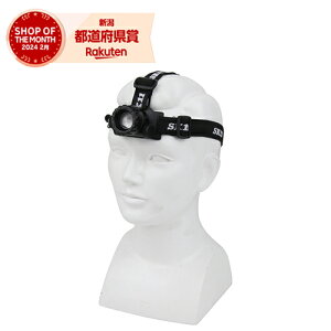 Y SK11 drLEDwbhCg SLH-005