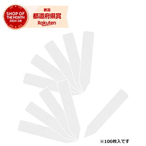 m4܂ł䂤pPΉnY ZteB-3 |px񂴂100 75mmyZteB[3z