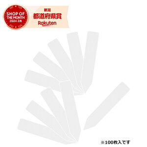 m5܂ł䂤pPΉnY ZteB-3 |px񂴂100 90mmyZteB[3z