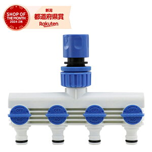 Y ZteB-3 ^b`RlN^[ SSK-21yZteB[3z