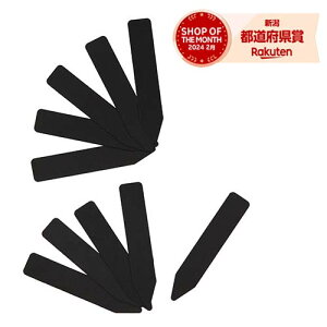 m29܂ł䂤pPΉnY ZteB-3 K[fx 10 6cmyZteB[3z