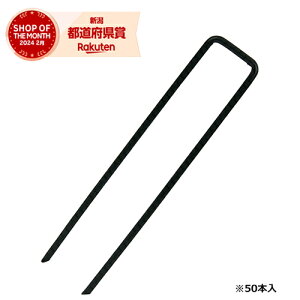 Y ZteB-3 R̎sO[ 50PCS 3.5X15cmyZteB[3z