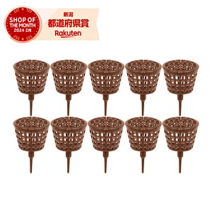 Y ZteB-3 엿e  Wt 10PCSyZteB[3z