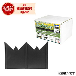 Y ZteB-3 K[fGbW 25 yZteB[3z