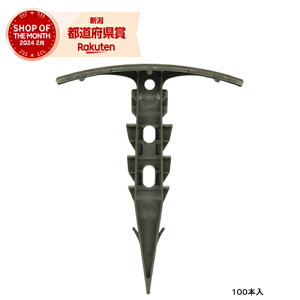 Y ZteB-3 }` 100PyZteB[3z