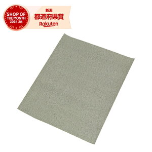 �C�[�O�� �t�B�j�V���O�y�[�p�[DSCM P320