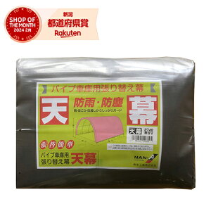 čH pCvԌɗpV 2748B MSVyiz