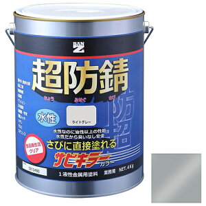 y݌Ɍz BAN-ZI TrL[J? CgO[ 4kg CgO[yiz