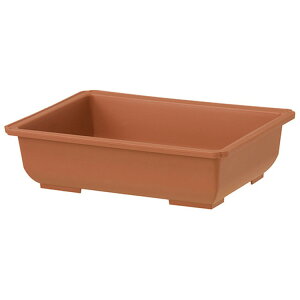 }g (~͗p) 10 2L uEyiz