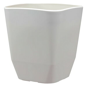 AbvEFA[ AgGXNGA290^ zCg