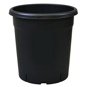 アップルウェアー 果樹鉢 310ガタ ブラック