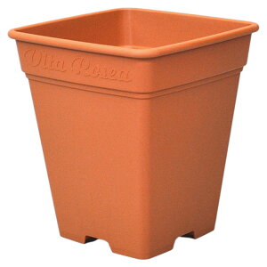 AbvEFA[ [AXNGA 260K^ uEyiz