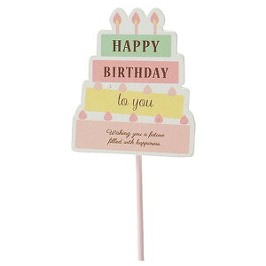 y݌ɌzO[nEX Birthday NbvsbN P[L 3979yiz