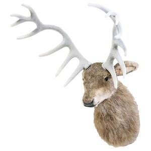 O[nEX CMrbOI[iggiJC CM1430yiz