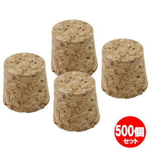 RN23x20x21mm 500Zbg