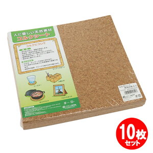 RNV[gp 8 300x300x4mm 10Zbg