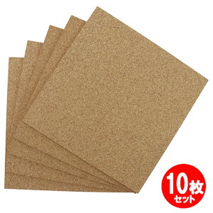 RNV[gp 5 300x300x6mm 10Zbg