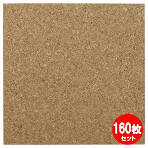 RNV[g 300x300x4mm 160Zbg