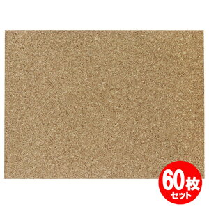 RNV[g 600x450x2mm 60Zbg