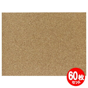 RNV[g 600x450x4mm 60Zbg