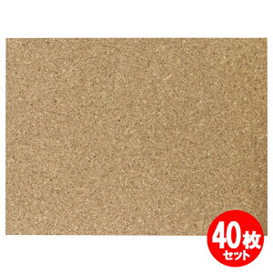 RNV[g 600x450x6mm 40Zbg