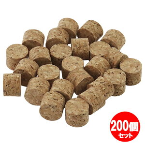 RNwbh NO.4 13pCx10mm25C 200Zbg