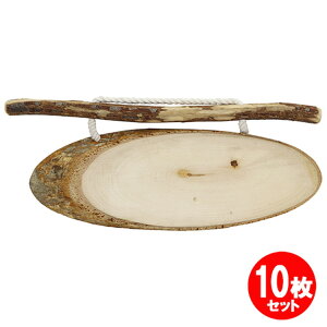 枝付輪切プレート中NP-05 10枚セット