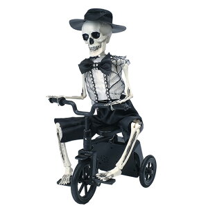 O[nEX HWz[V[Y HW674yiz