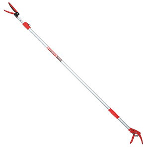 Y E-Value nLk} EGLP-3