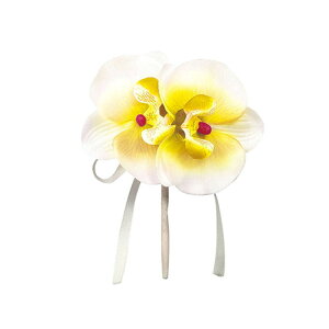 A[ebN RT[W Ӓ CG[ 85053yiz