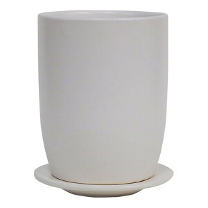 O[|bg IXg g[GbO }bgzCg 13cm HO-607MWyiz