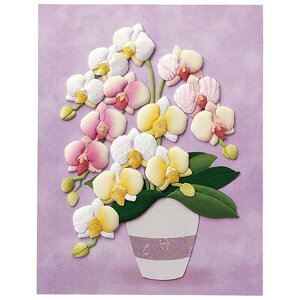 ق肫 zGE킵̌Ӓ 3760139yiz